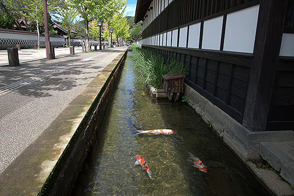 津和野町